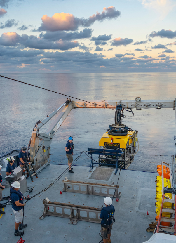 El ROV SuBastian se lanzó en la mañana en el Golfo de California durante la expedición “Investigación Interdisciplinaria de la Cuenca del Pescadero”. Crédito: © SOI