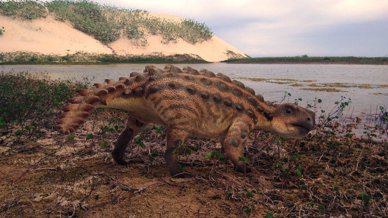 Descubren una nueva especie de dinosaurio acorazado en la Patagonia chilena con una extraña arma en su cola