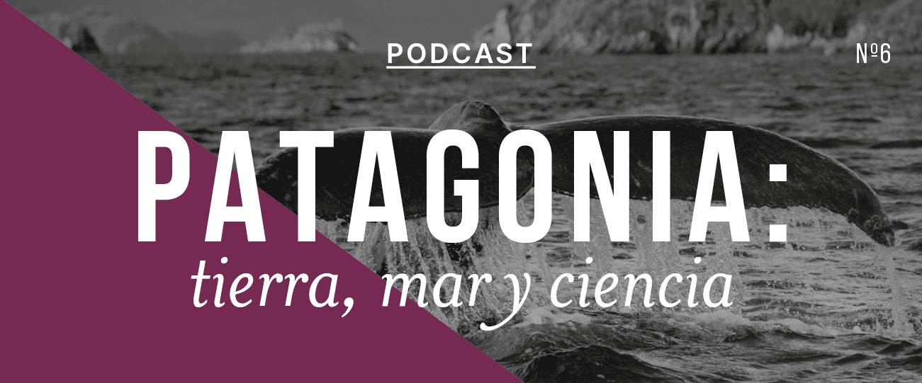 Podcast “Patagonia: Tierra, Mar y Ciencia”, capítulo #6: “Patagonia ancestral: la riqueza del sur del mundo”