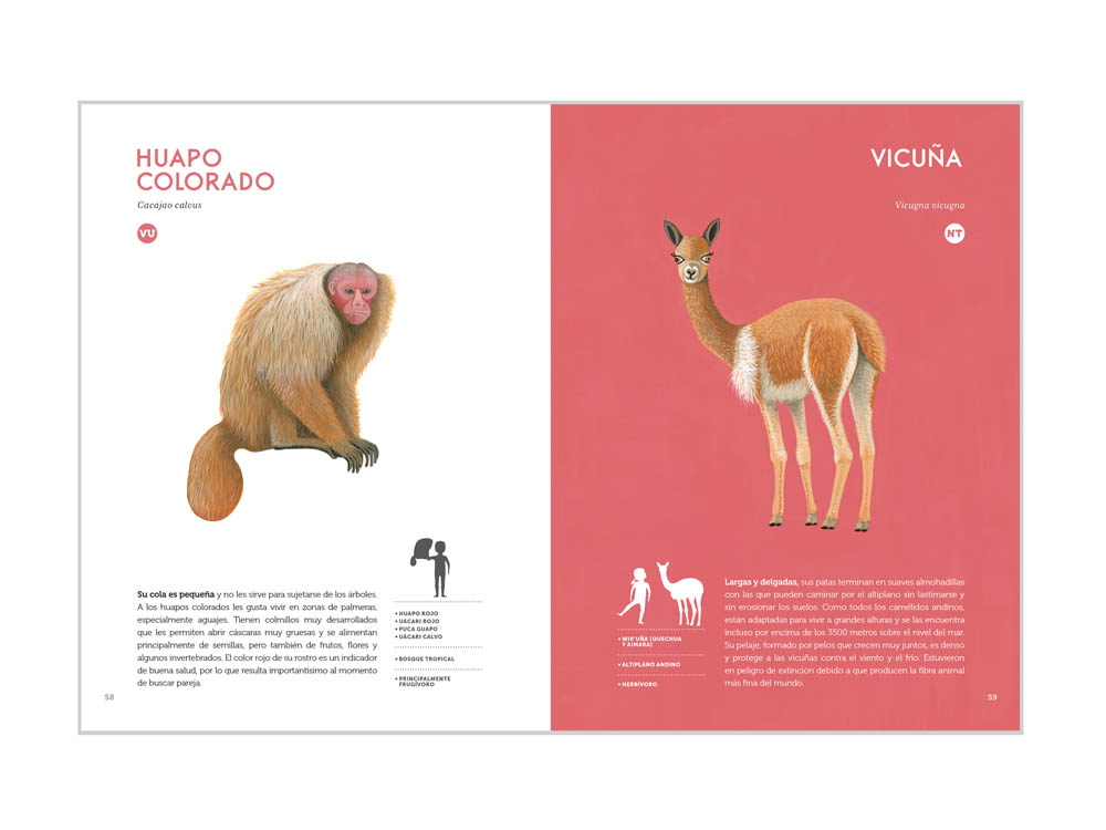 Presentación Planeta Animales Peruanos 51
