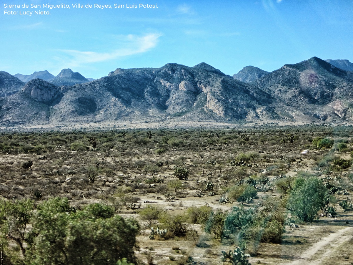Sierra de San Miguelito, en San Luis Potosí, es ahora un área protegida. Crédito: CONAMP/México