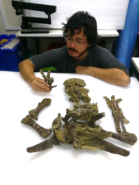 Sergio Soto y Alexander Vargas, paleontólogos de la Universidad de Chile, fueron los autores principales del estudio, en el que participó un equipo de 19 personas.
