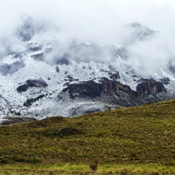 Explorar el Parque Nacional Patagonia, una invitación a la inmensidad