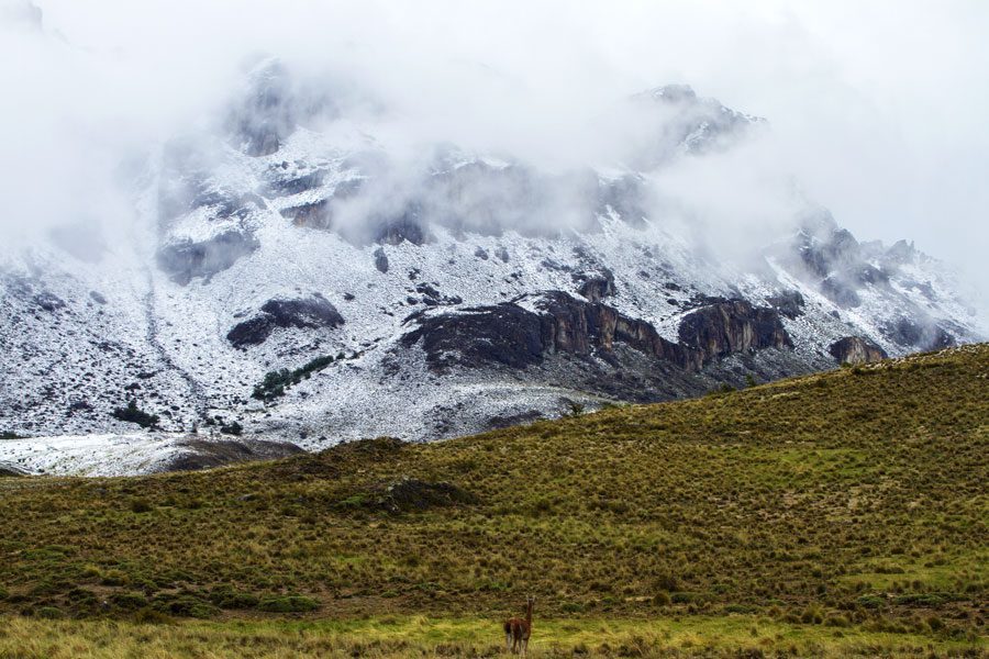 Explorar el Parque Nacional Patagonia, una invitación a la inmensidad