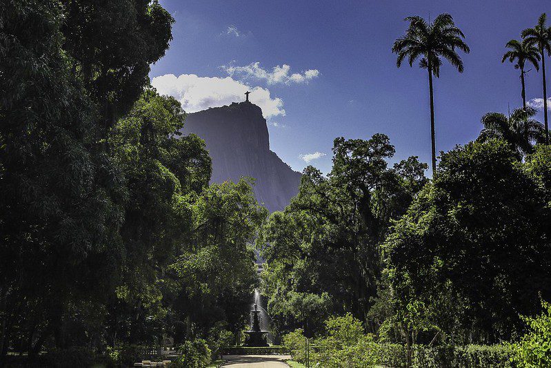 Brasil: El Jardín Botánico de Río de Janeiro, una visita obligada y una joya para la conservación de biodiversidad