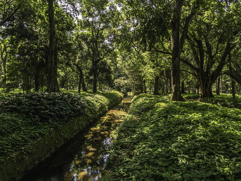 Crédito: © Instituto de Pesquisas Jardim Botânico do Rio de Janeiro