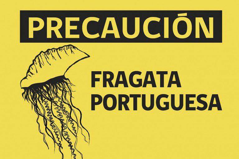 bandera-fragata-portuguesa