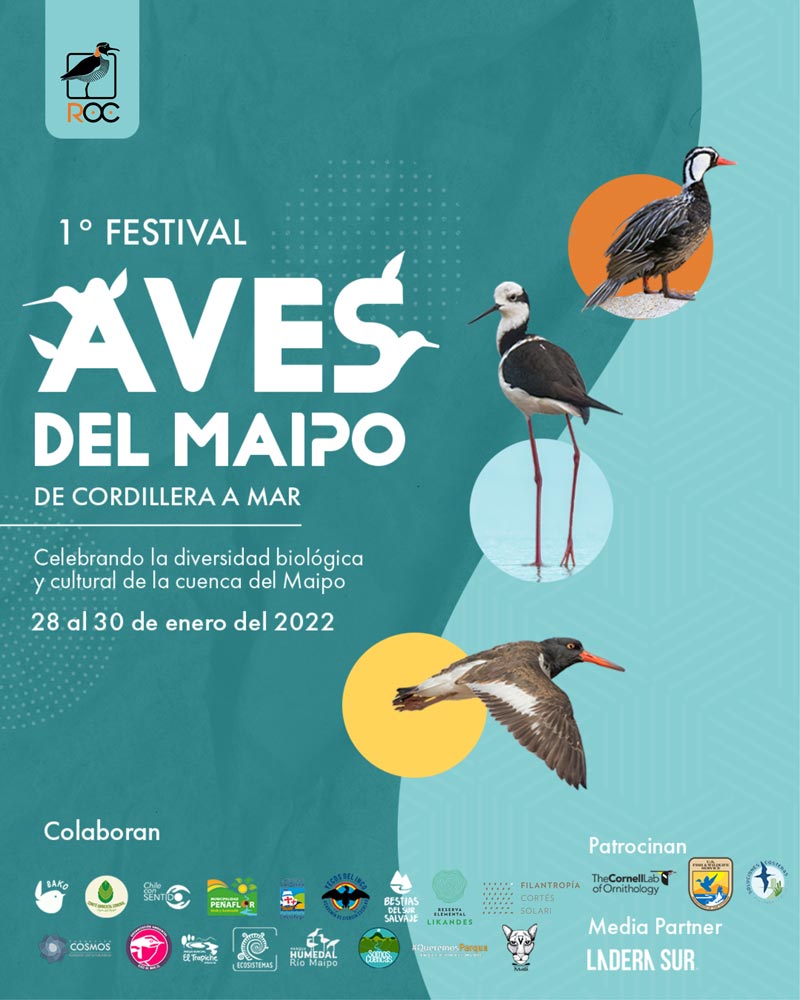 Festival-de-Aves-del-Maipo