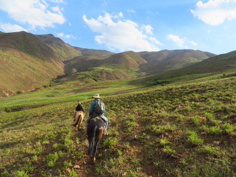 Cajón del Maipo: buscan conciliar la ganadería con la recuperación de los ecosistemas de montaña