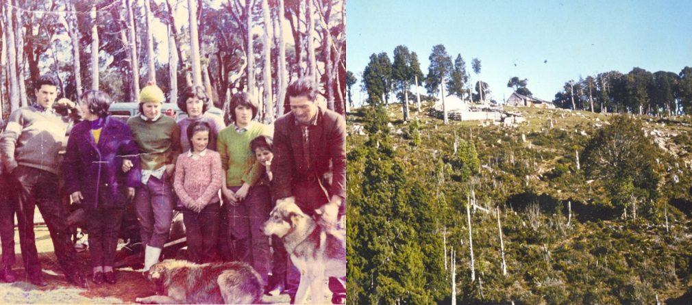 La historia de “los guardianes del alerce milenario”: el legado de una familia y la pugna por un territorio en el sur de Chile
