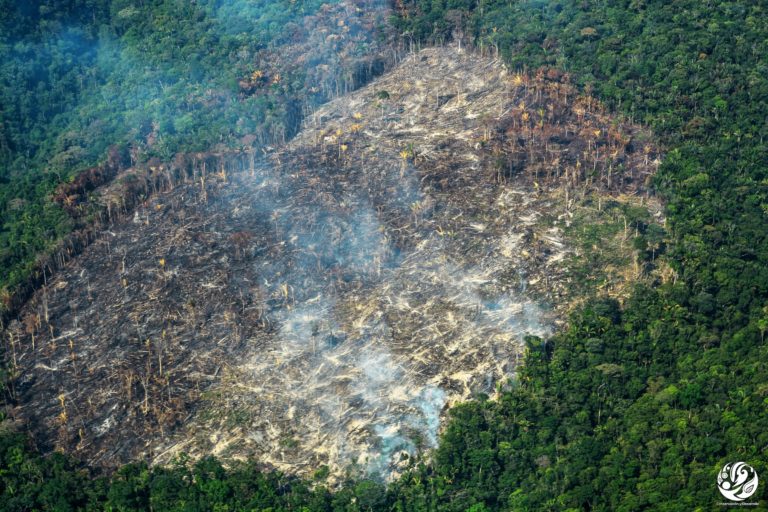 Las quemas en la Amazonía colombiana suelen darse entre enero y febrero. ©Fundación para la Conservación y el Desarrollo Sostenible (FCDS)