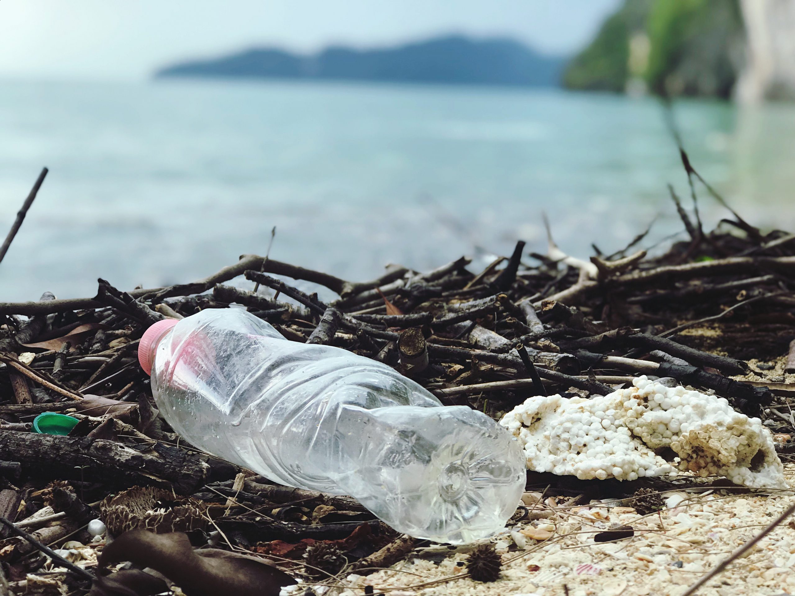 Basura, plásticos y océanos: Lanzan en Chile por primera vez agua mineral enlatada, producida con energía solar