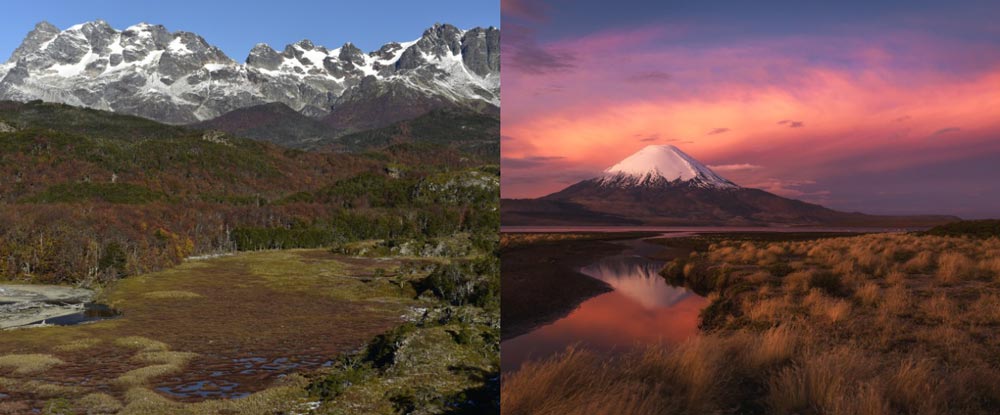 De extremo a extremo: Tierra del Fuego otoñal y el Altiplano de Arica, dos viajes fotográficos que prometen una experiencia inolvidable 