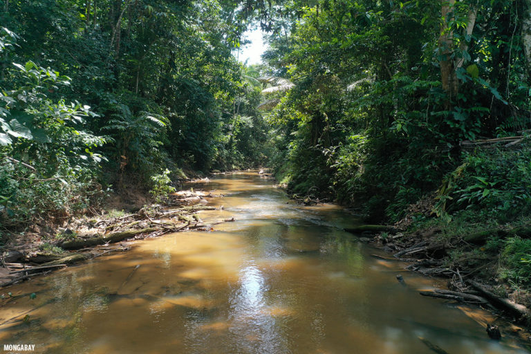 Río en la Amazonía de Colombia. ©Rhett Butler