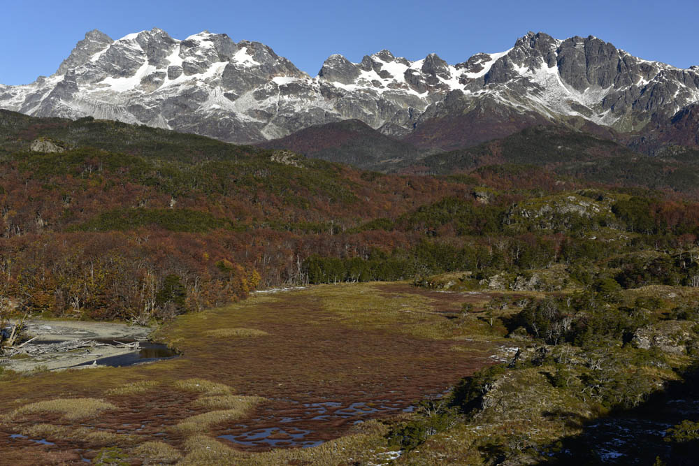 Tierra del Fuego en otoño ©Guy Wenborne (9)