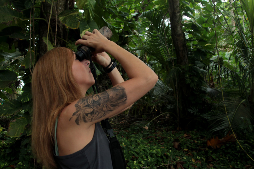 La zoóloga británica Rebecca Cliffe, fundadora de la ONG The Sloth Conservation Foundation, busca entre las ramas de los árboles a Mango, un perezoso que vive en la selva delante de la sede de la organización. Foto: Monica Pelliccia