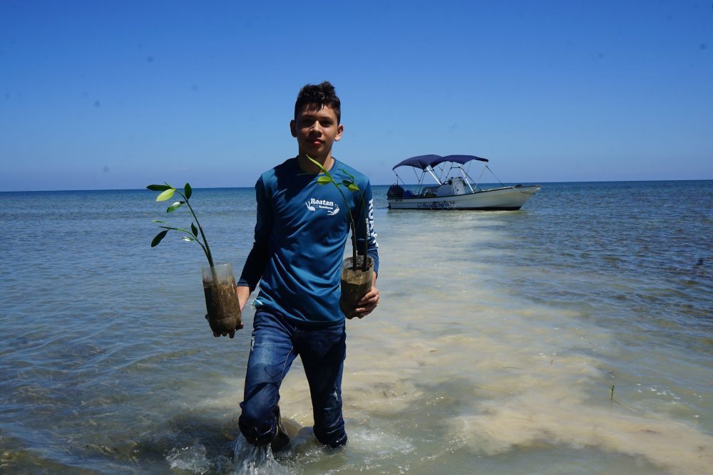 Honduras: la hazaña de cuidar una isla y su arrecife en el Caribe