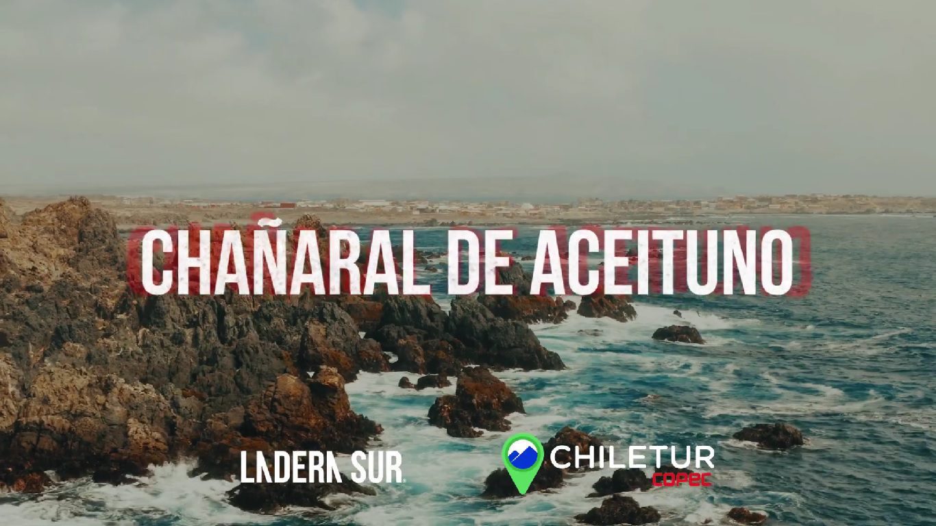 Chañaral de Aceituno: un paraíso marítimo del norte de Chile