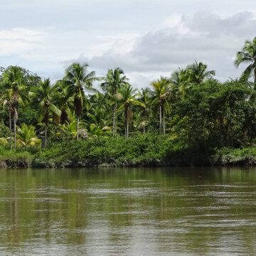 Colombia: Conoce la Isla Ají, recién decretada como Área Protegida, sumando 24 mil hectáreas de riqueza y biodiversidad a la conservación