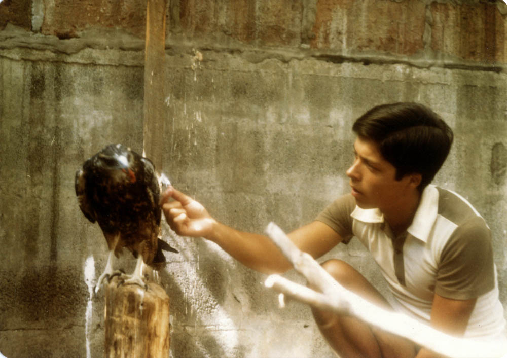 1 Suri, 1983. Primera águila Eduardo trabajó con el objetivo de rehabilitar ©Ricardo Barraza