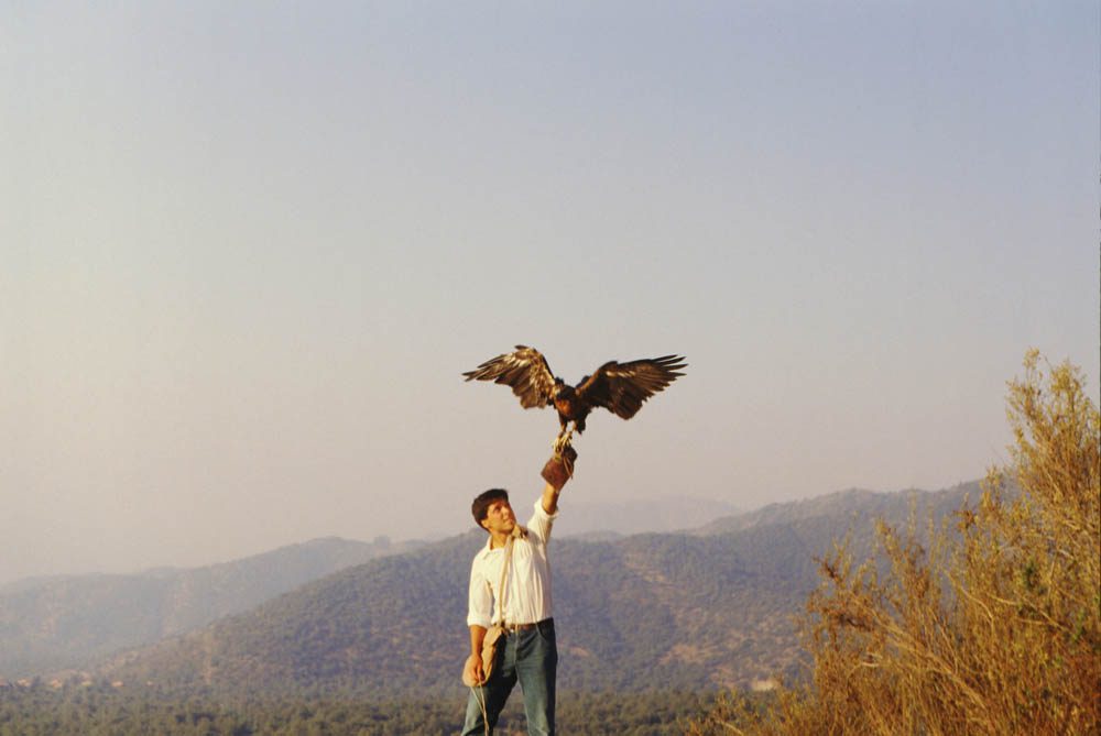 Eduardo Pavez: una vida dedicada a la conservación del cóndor, águilas y otras aves rapaces