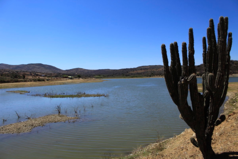 La presa El Bayito abastece a los habitantes de San José del Progreso, en Oaxaca, México, quienes denuncian que el nivel de agua ha disminuido desde que llegó una minera a la región. Foto: Roxana Romero.
