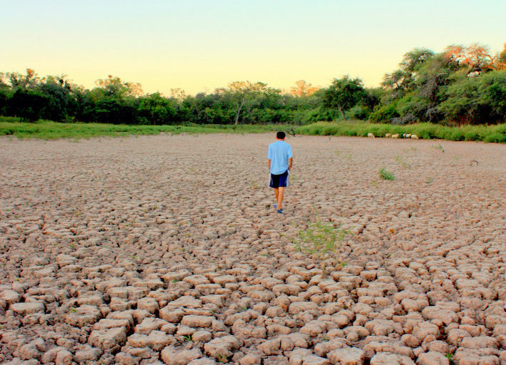Sequía en el Gran Chaco argentino. Foto: Ricardo Tiddi.