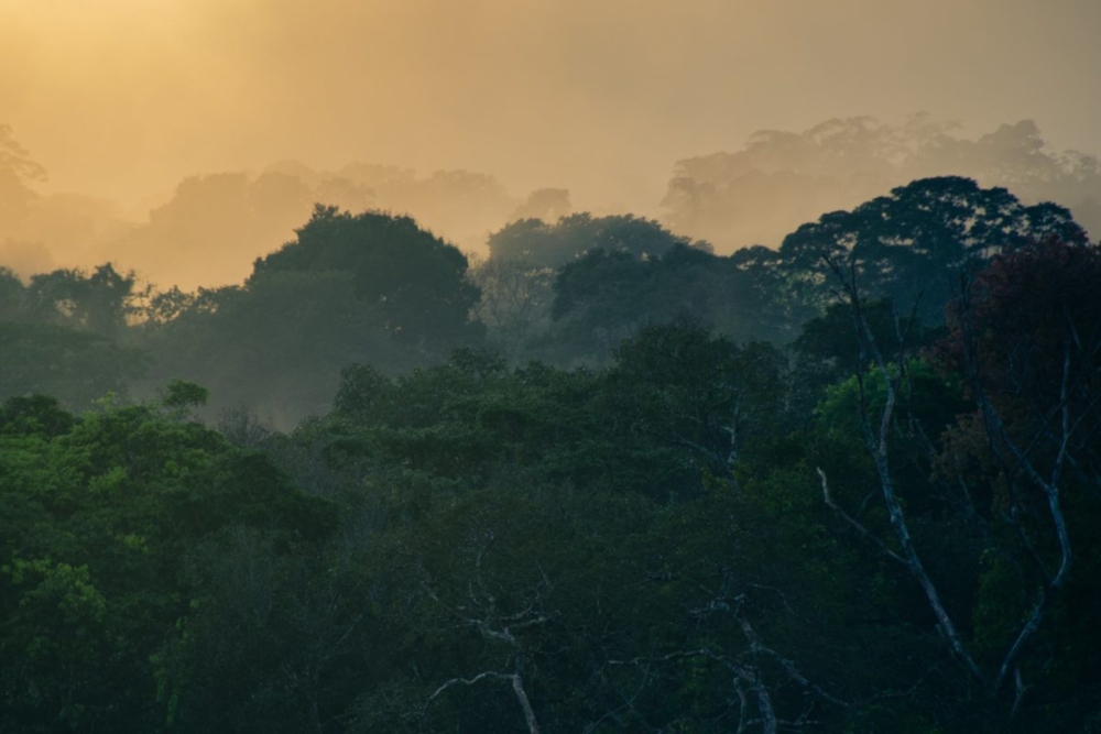 La comunidad kichwa de Canelos asumió el compromiso con el Ministerio del Ambiente ecuatoriano de preservar sus bosques. Foto: Conservación Internacional.