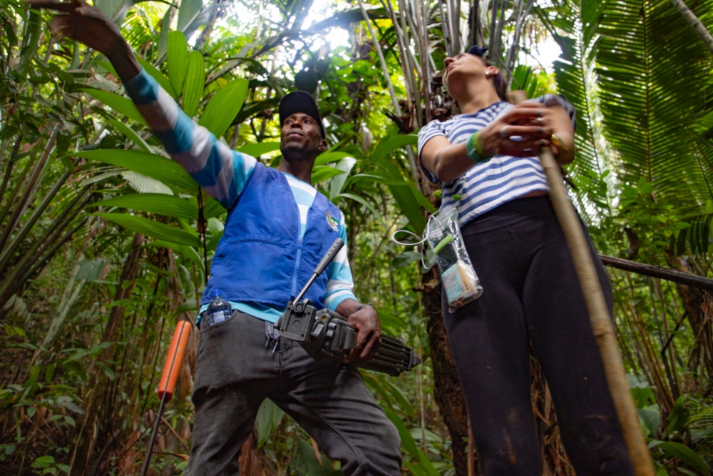 Campesinos afrocolombianos se capacitan continuamente para buscar alternativas diferentes a la tala de árboles. Foto: USAID Colombia.