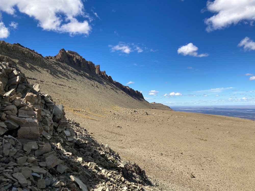 Expedición obtiene nuevos registros de dinosaurios en Cerro Guido