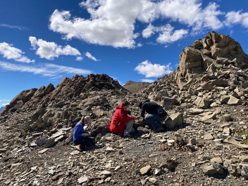 Undécima campaña paleontológica en el sector de Cerro Guido. ©Instituto Antártico Chileno (INACH)