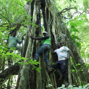 Comunidades indígenas y afro conservan bosques milenarios en Ecuador, Colombia y Perú