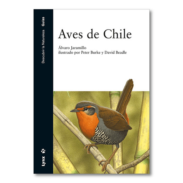 Libro Aves de Chile (3) ©Alvaro Jaramillo