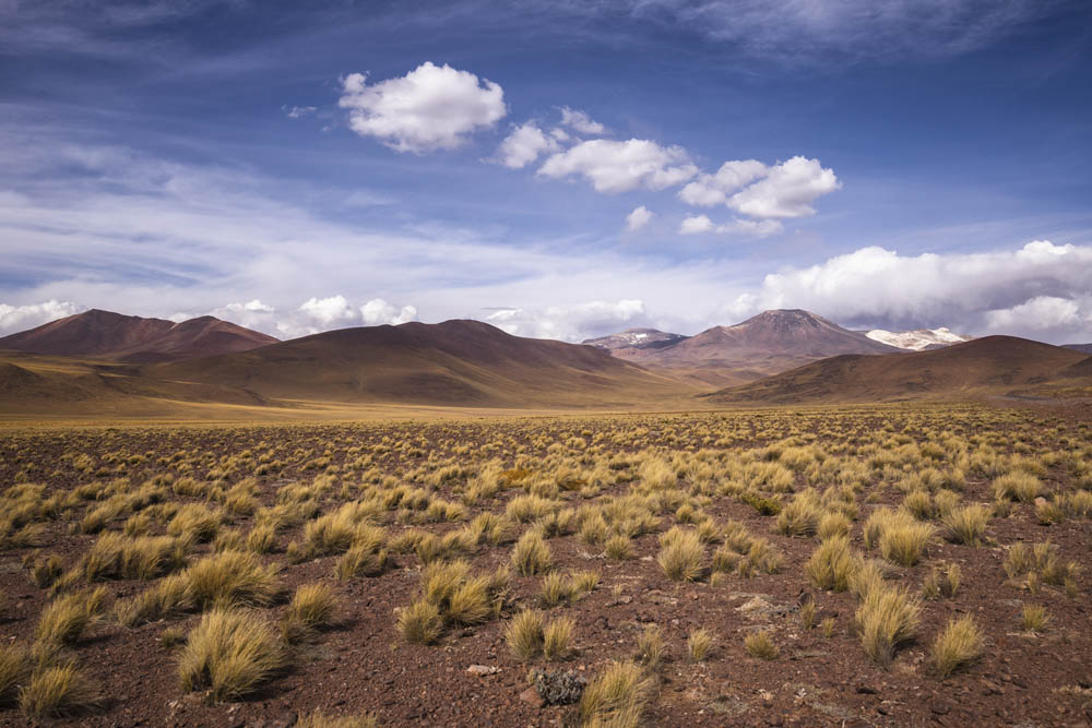 Montañas y volcanes, desierto de Atacama Alexis Trigo (1)