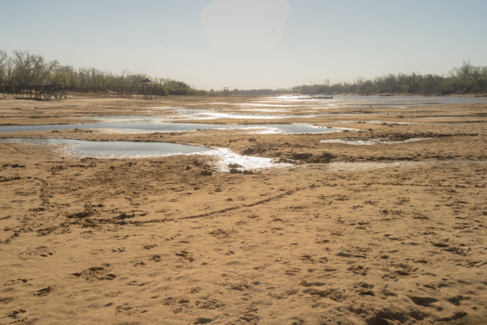Escasas manchas de agua que sobreviven en el cauce del río Paraná Viejo, en Argentina. Foto: Asoc. Argentina de Abogados Ambientalistas.