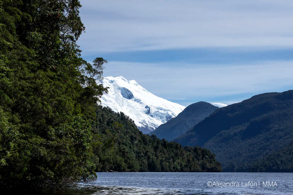 Se lanza el Fondo Naturaleza Chile, Organización que movilizará financiamiento para la conservación de la biodiversidad
