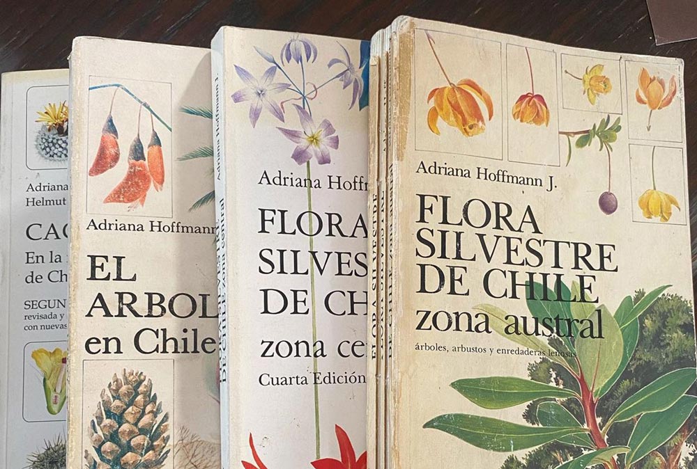 Los libros que nos dejó Adriana Hoffmann