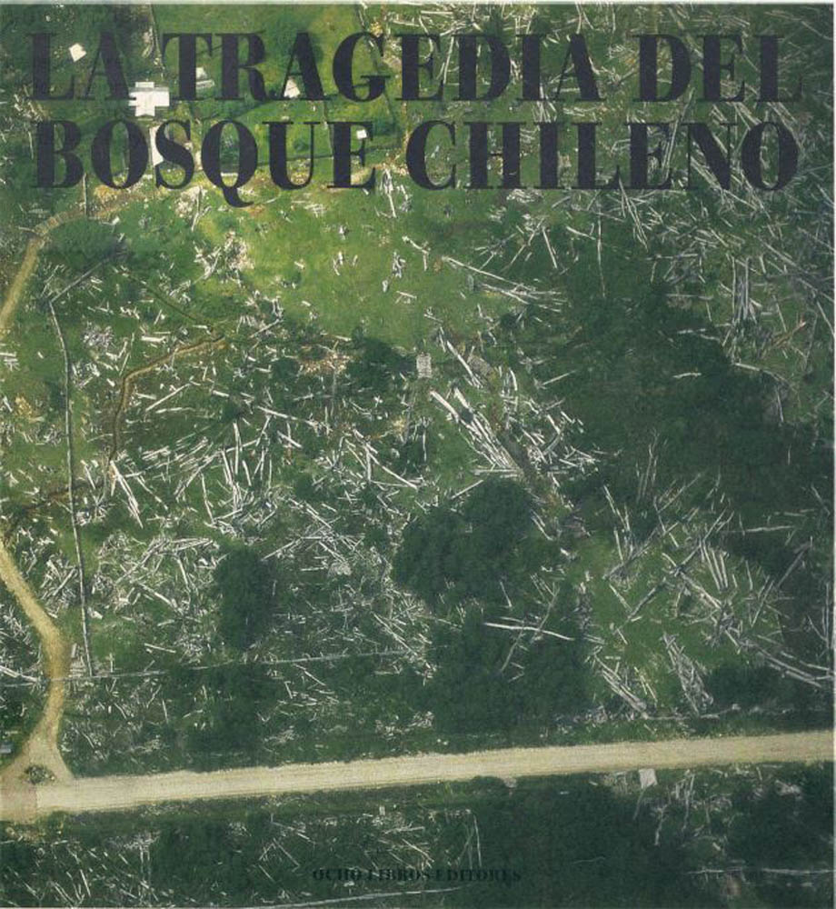La tragedia del bosque chileno