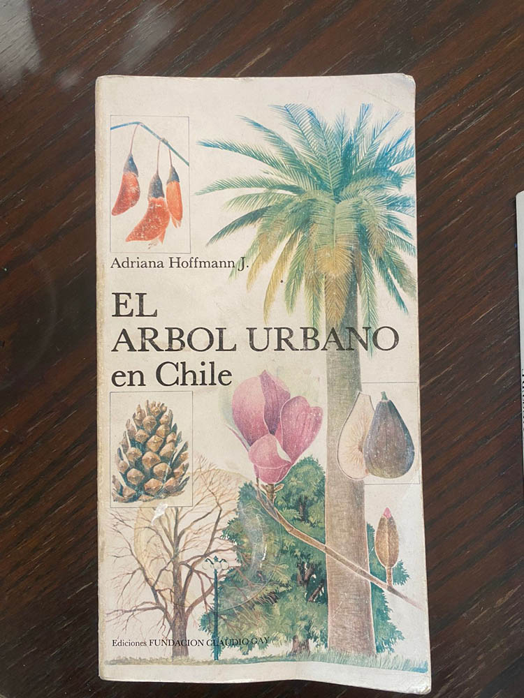 Libro árbol urbano de Adriana Hoffmann ©Martin del Río