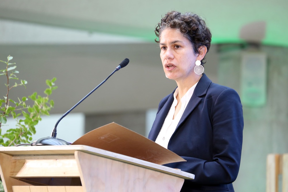 Maisa Rojas, Ministra del Medio Ambiente. Cortesía de MMA