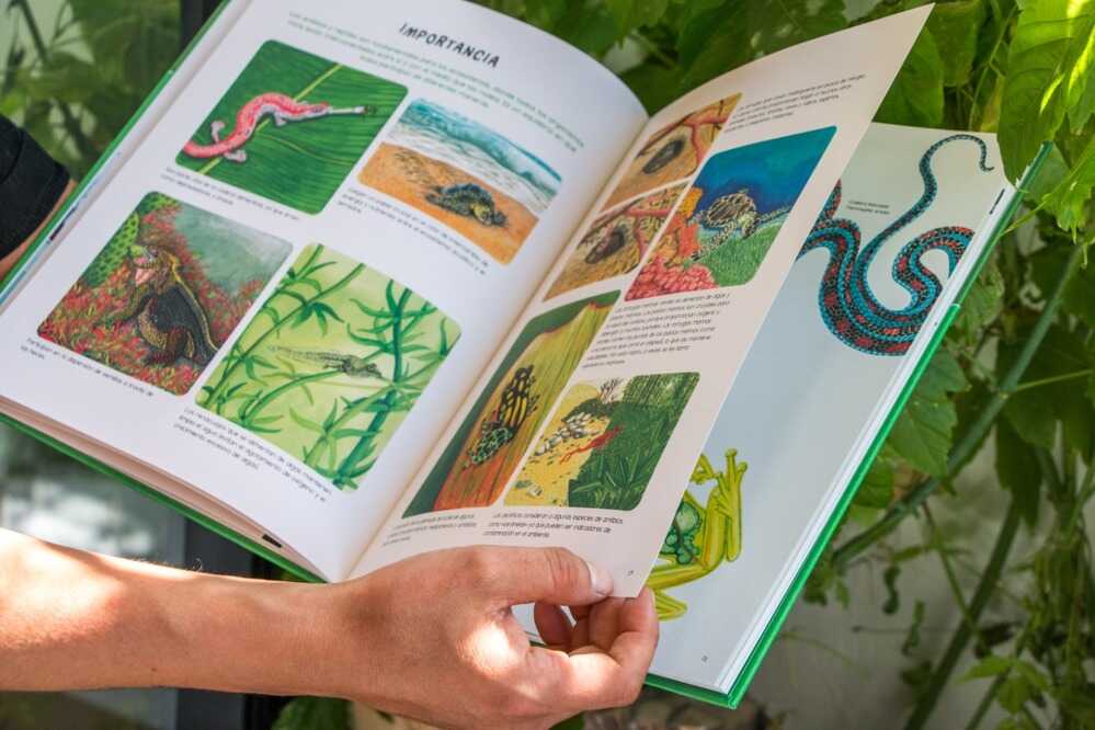 Libro “Agua y Tierra, Anfibios y Reptiles de América” ©Amanuta