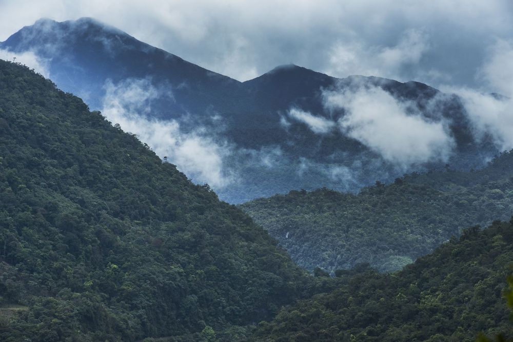 El área del Bosque de Protección Alto Mayo alcanza las 182 000 hectáreas. Foto Gabriel Herrera/Revista Viajeros