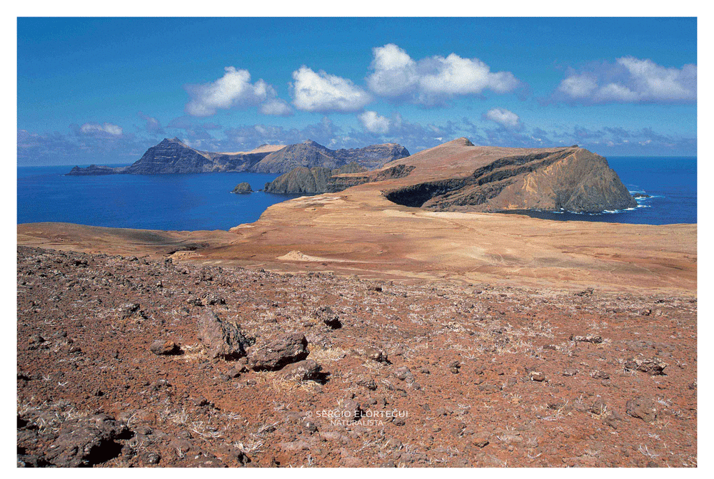 Fotografía del sector SO de la isla Robinson Crusoe y al fondo isla Santa Clara mostrando el grado de degradación presente. Créditos: Sergio Elórtegui