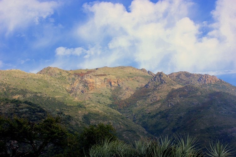Santuario de la Naturaleza Horcón de Piedra. Créditos: Red de Santuarios de la Naturaleza de la Región Metropolitana