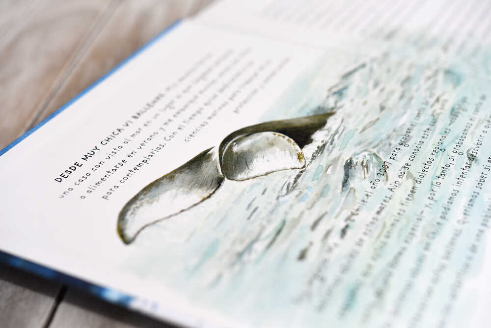 Libro “Ópera del mar” ©Manivela
