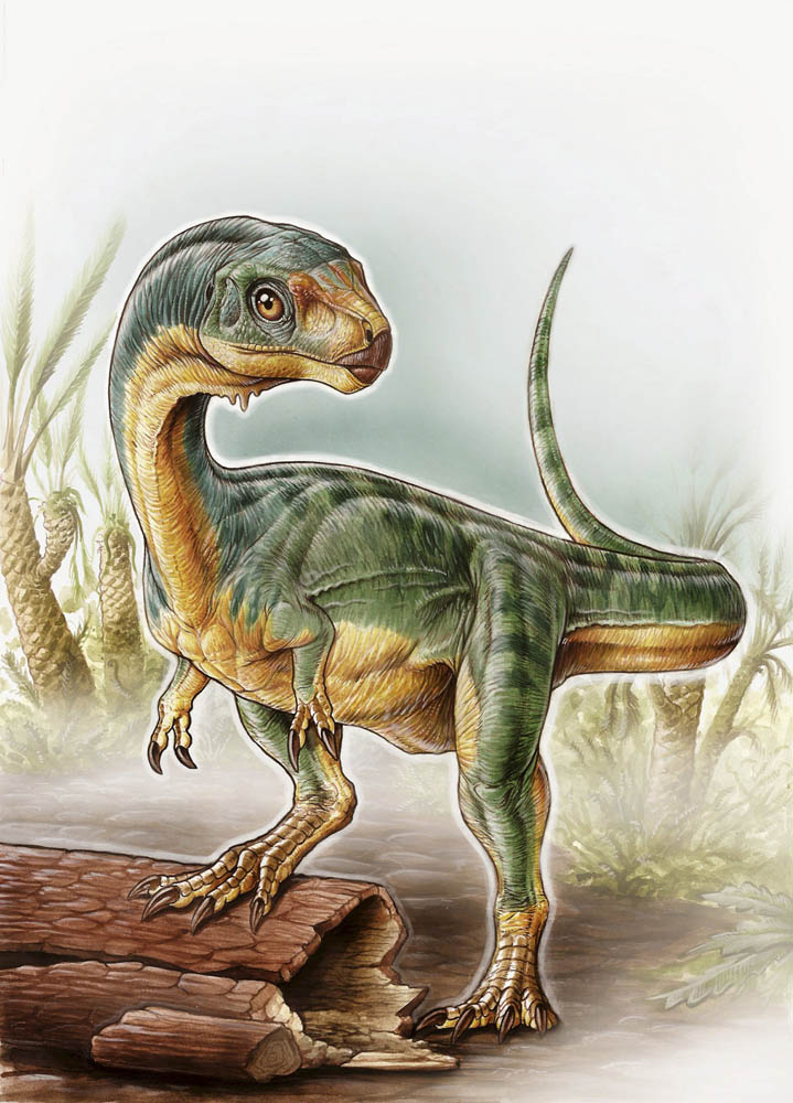 Image: University of Birmingham handout illustration shows an artist’s depiction of the Chilesaurus diegosuarezi