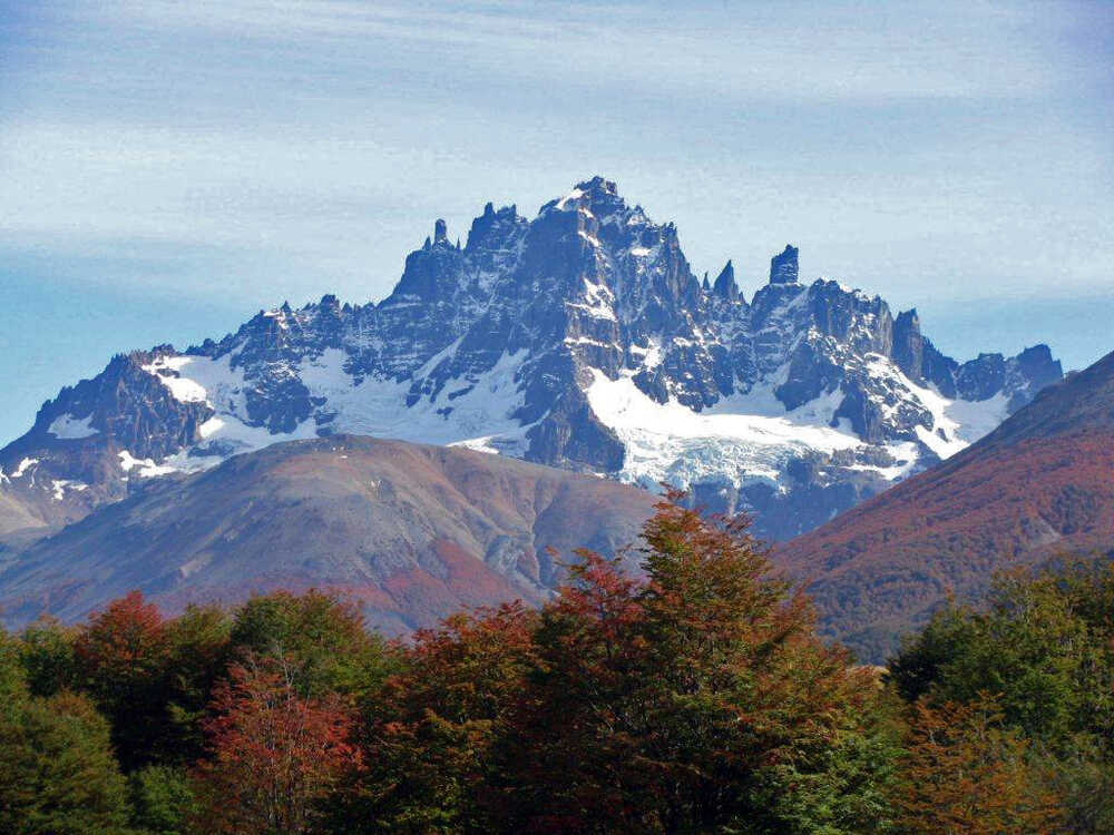 Lista Verde en Chile: hacia la gestión efectiva de las Áreas Silvestres Protegidas