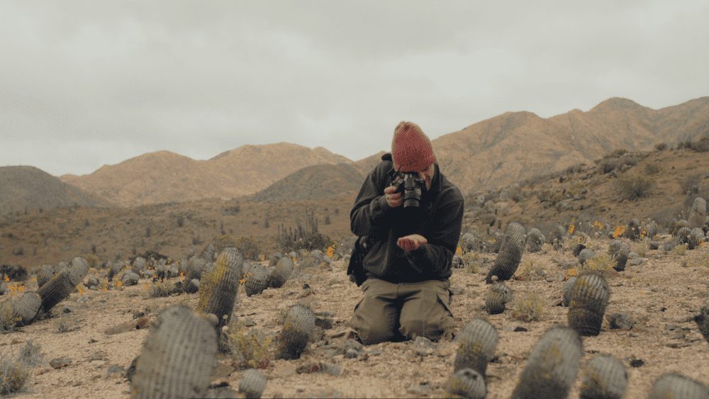 Chileno dedica su vida a mantener vivo el desierto reproduciendo cactus nativos para salvarlos de la extinción