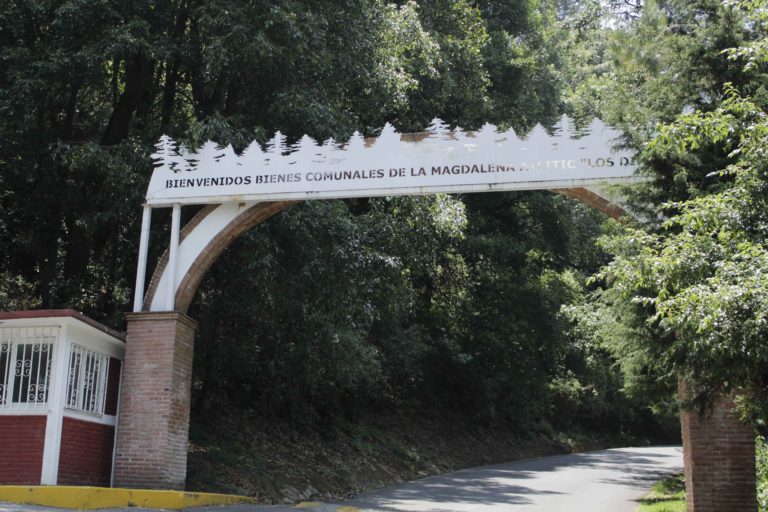 La entrada a la propiedad comunal del bosque de Los Dinamos. Foto: Roxana Romero.