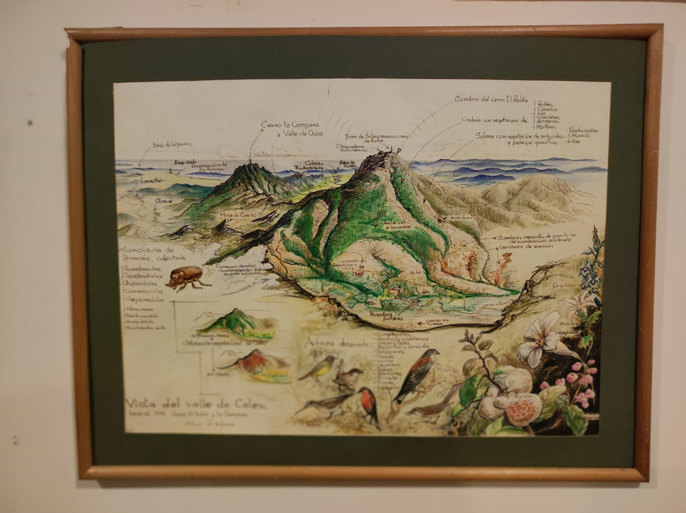 “Vista del Valle de Caleu”, del arquitecto y dibujante Rodolfo Hoffmann. Una de las piezas de “Expedición a Chile” que se exhibirán en el Centro Cultural La Moneda